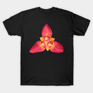 amazing large red and gold flower T-Shirt